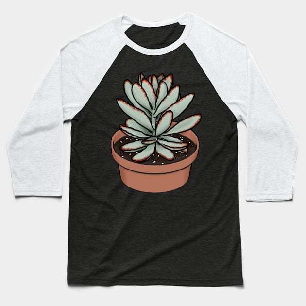 Panda Plant Kalanchoe Tomentosa Succulent Sketch Baseball T-Shirt by Charredsky